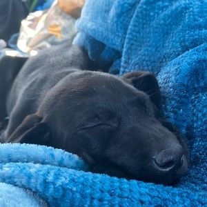 Meet your Posher, Johnathan